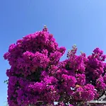 Tatil Evi Cataleya