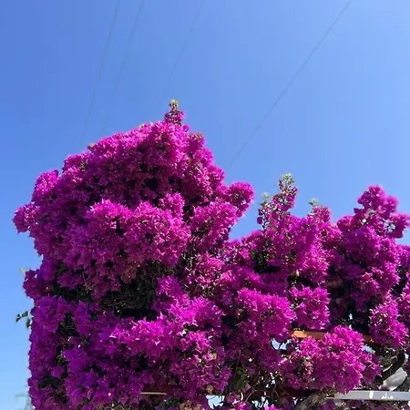 Holiday home Cataleya