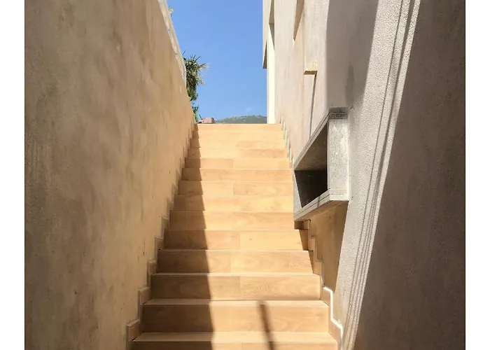 Cataleya * פראייה א מארה