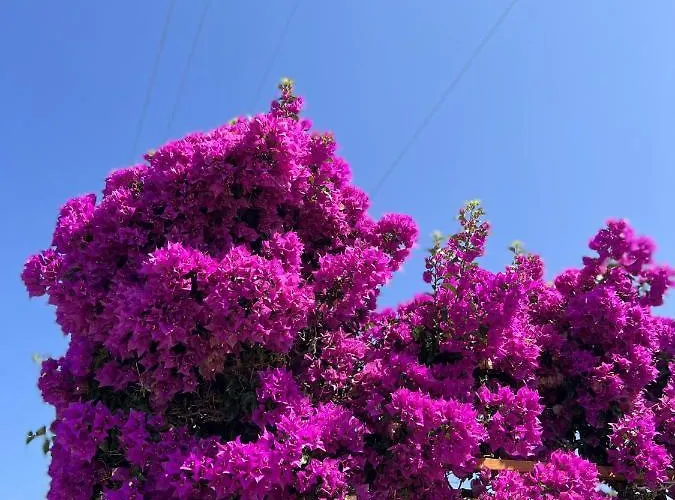 בית נופש Cataleya